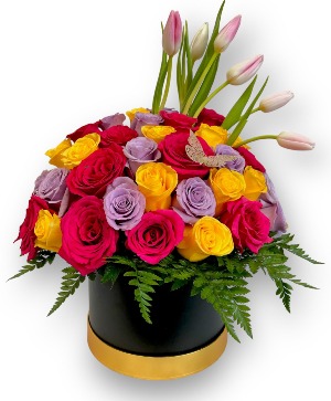 Tulip-Rose Dream  