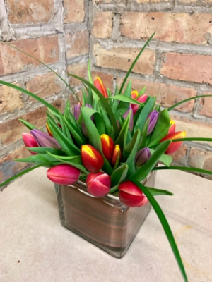 Spring Has Sprung Tulip Arrangement 