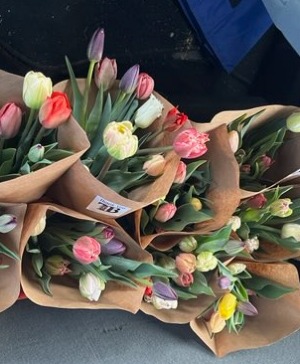 Tulip Subscription Wrapped Bouquet