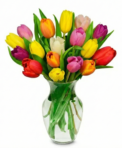 Tulip Surprise Assorted Tulip Vase Mix