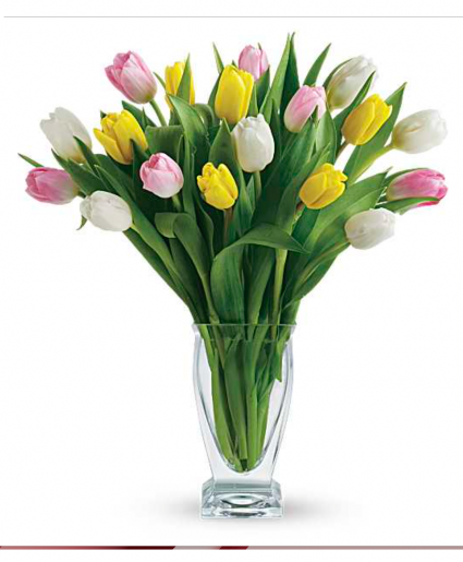 Tulip Treasure 