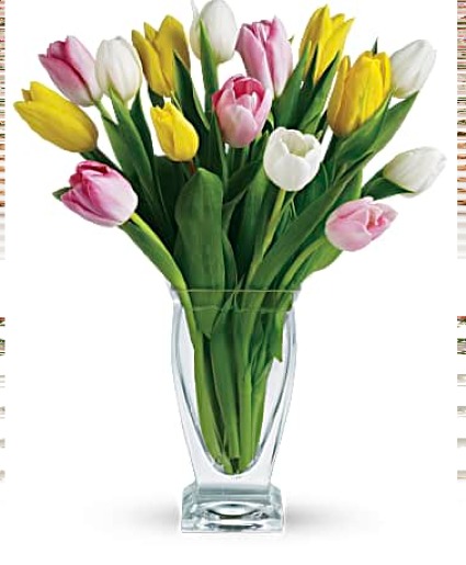 Tulip Treasure HOLIDAY