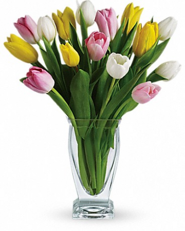 Tulip Treasure T142-1 14"(w) x 17"(h)