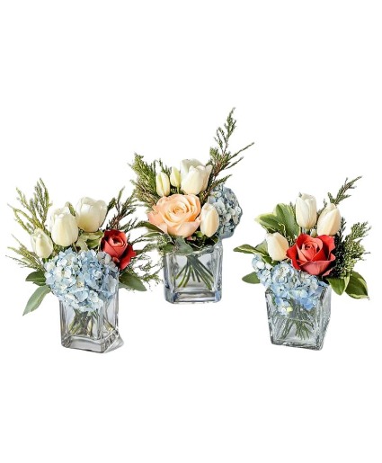 Tulip Trio Arrangement