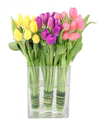 Tulip Trio Arrangement in Darien, CT | DARIEN FLOWERS
