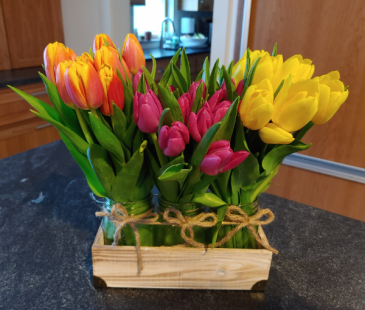 Tulip Trio Bouquet in Barre, VT | Forget Me Not Flowers and Gifts LLC