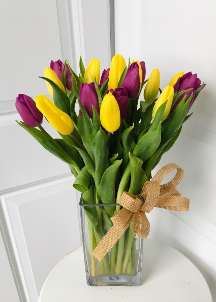 Spring Tulips 