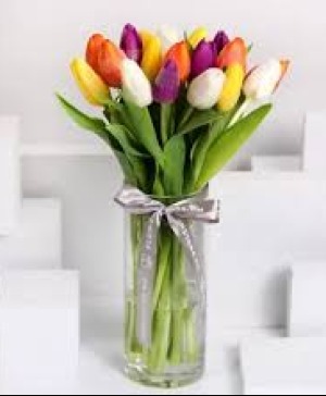 Tulips 
