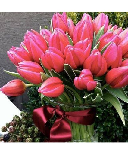 tulips are better than one  SPRING 