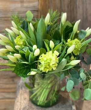 Tulips Arrangement  Arrangement  ( Comes In different Colors ) 