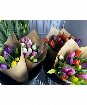 Tulips Bouquet Bouquet 