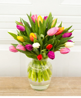 Tulips in Vase Vased Arrangement
