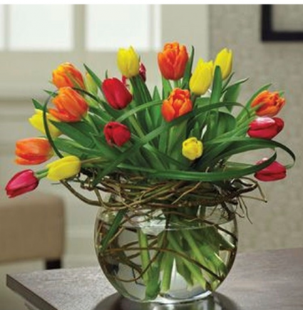 Tulips nest 