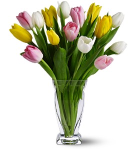  Tulip Treasure Floral Bouquet