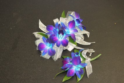 Turquoise Dendrobium Orchid $70.00 Matching Boutonniere $15.00