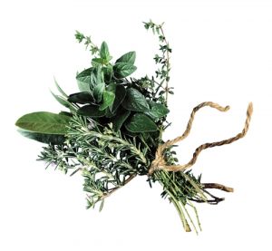 Tuscan Herb Infused Olive Oil 