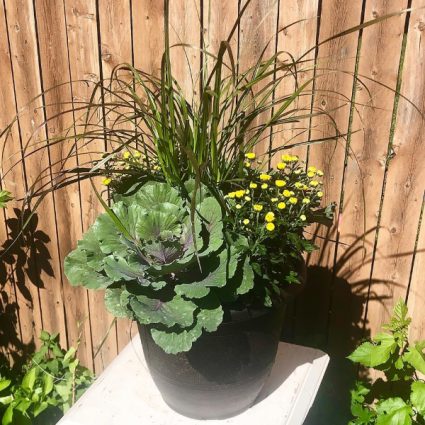 Tuscany Planter planter