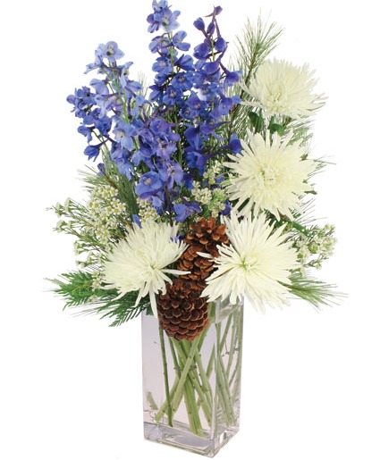 WINTER NIGHT  ARRANGEMENT 