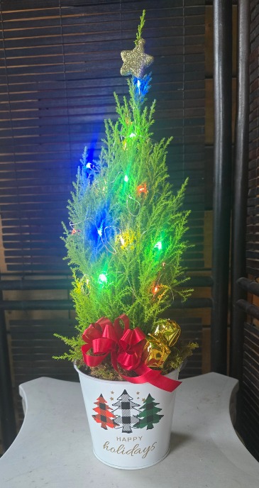 Twinkle travel tree  in Windsor, ON | K. MICHAEL'S FLOWERS & GIFTS