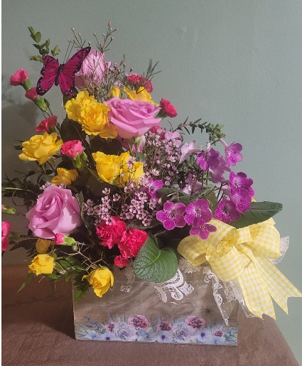 Two Blooms one Pot Fresh Arrangement & Plant