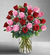 Two Dozen Pink and Red 