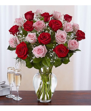 Two Dozen Red and Pink Roses  Glass Vase  in Oakdale, NY | Posh Floral Designs Inc.