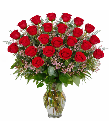 2 DOZEN RED ROSES  in Owensboro, KY | Ivy Trellis Floral
