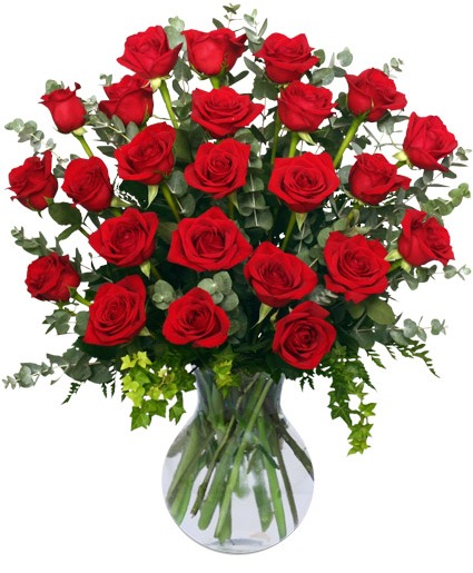 Two Dozen Red Roses Bouquet in Mooresville, IN - BUD AND BLOOM