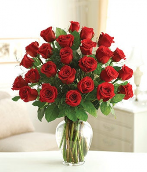 Two Dozen Roses 