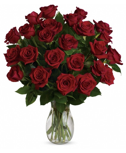 Two Dozen Roses  
