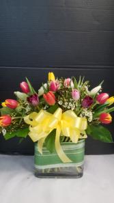 Two Dozen Tulips 