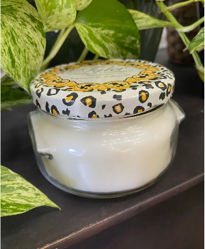Tyler Candle 11oz Diva Home Room Fragrance