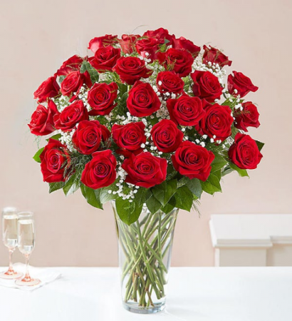 Ultimate Elegance 36 Premium Long Stem Red Roses Red Roses Arrangement