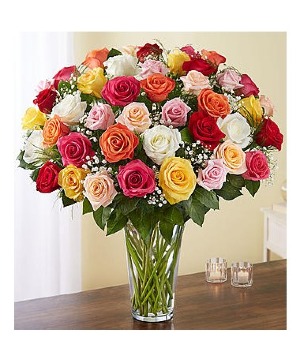Ultimate Elegance 48 Long Stem Assorted Roses roses