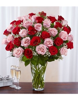 50 long stem pink & red roses™ 