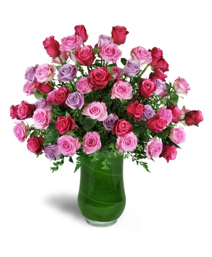 Ultimate Elegance Roses 