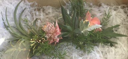 Unique Airplant Hairpiece