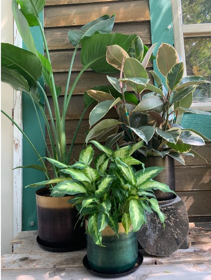 Unique Metal Planter 