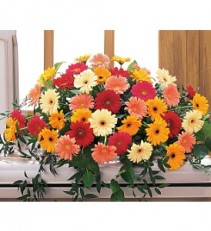 Uplifting Thoughts Casket Spray