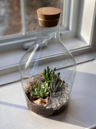 Upright Bottle Succulent Terrarium 