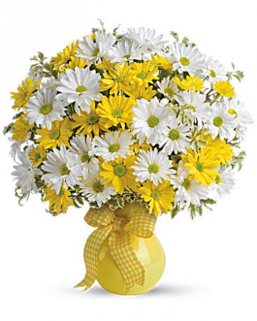 Upsey Daisy arrangement 
