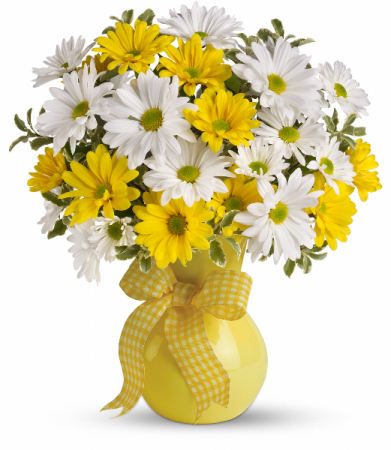 Upsy Daisy 