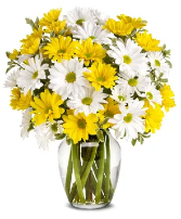 Upsy Daisy Bouquet
