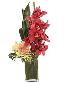 Uptown Orchids Arrangement