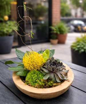 Urban Ember Garden  Premium Designer's Choice