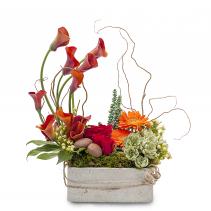 Urban Stone Arrangement