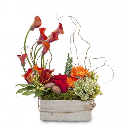 Urban Stone Arrangement