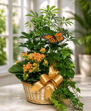 EUROPEAN GARDENS Basket Arrangement
