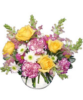 DELTA SUNRISE Fresh Flowers