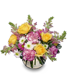 DELTA SUNRISE Fresh Flowers